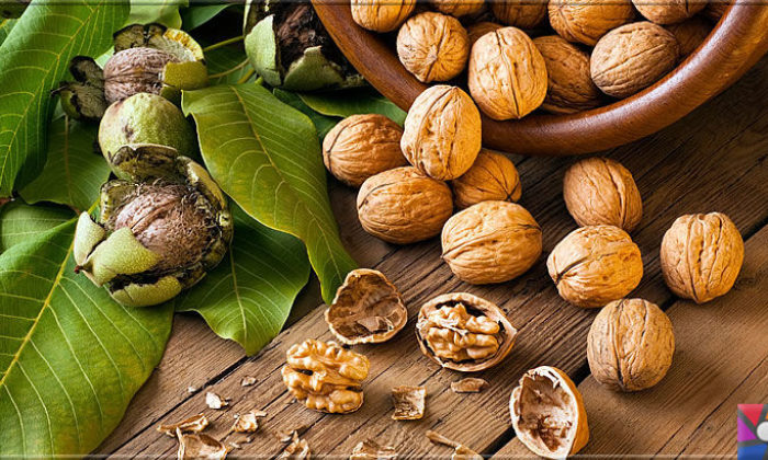 Cevizin Erkek Hormonu Üzerindeki Etkisi: Bilimsel Gerçekler article3